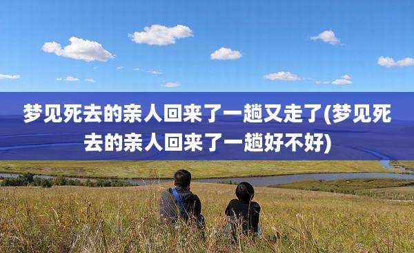 梦见死去的亲人回来了一趟又走了(梦见死去的亲人回来了一趟好不好)