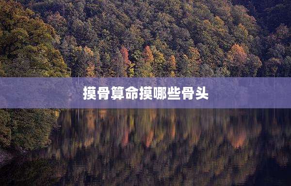 摸骨算命摸哪些骨头