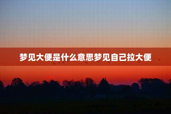 梦见大便是什么意思梦见自己拉大便