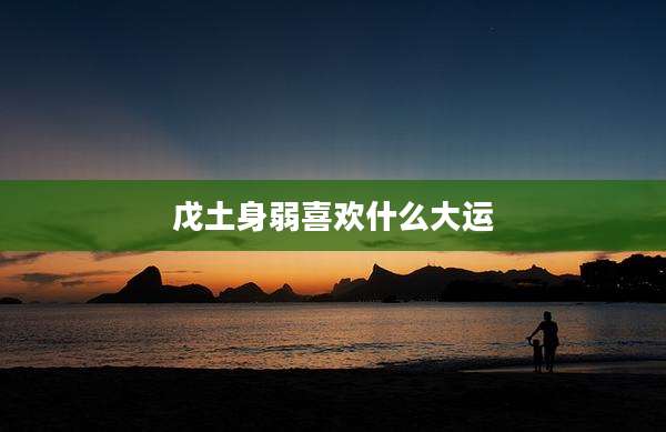 戊土身弱喜欢什么大运