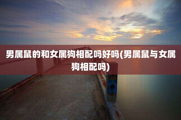 男属鼠的和女属狗相配吗好吗(男属鼠与女属狗相配吗)
