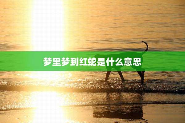 梦里梦到红蛇是什么意思