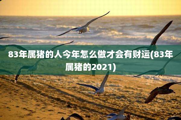 83年属猪的人今年怎么做才会有财运(83年属猪的2021)