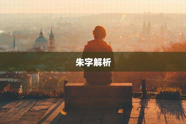 朱字解析