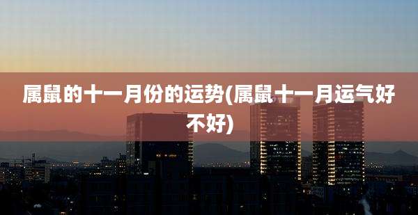 属鼠的十一月份的运势(属鼠十一月运气好不好)