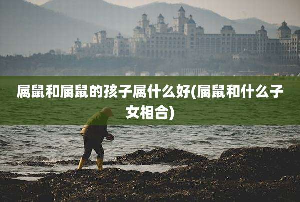 属鼠和属鼠的孩子属什么好(属鼠和什么子女相合)