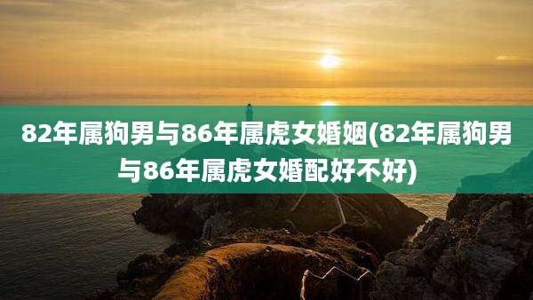82年属狗男与86年属虎女婚姻(82年属狗男与86年属虎女婚配好不好)