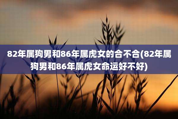 82年属狗男和86年属虎女的合不合(82年属狗男和86年属虎女命运好不好)