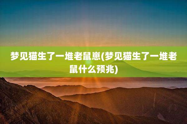 梦见猫生了一堆老鼠崽(梦见猫生了一堆老鼠什么预兆)