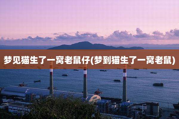 梦见猫生了一窝老鼠仔(梦到猫生了一窝老鼠)