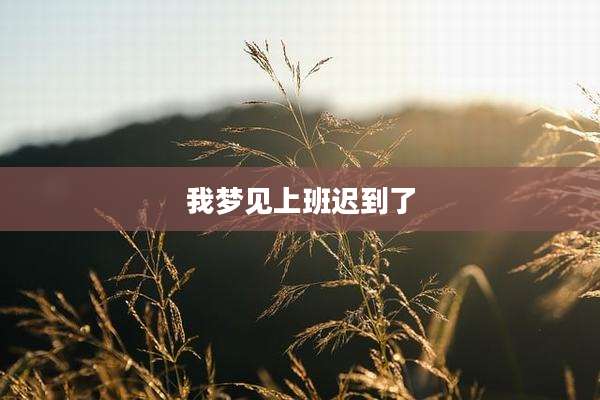 我梦见上班迟到了
