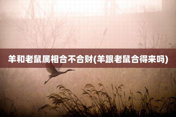 羊和老鼠属相合不合财(羊跟老鼠合得来吗)