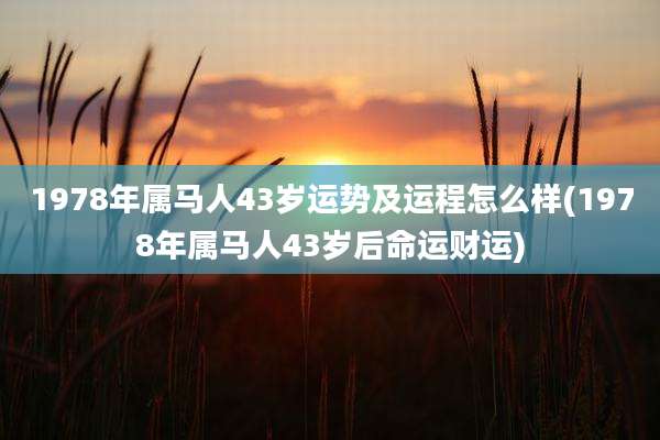 1978年属马人43岁运势及运程怎么样(1978年属马人43岁后命运财运)