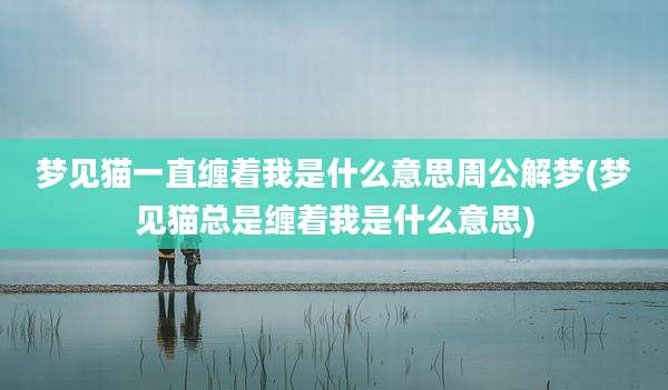 梦见猫一直缠着我是什么意思周公解梦(梦见猫总是缠着我是什么意思)