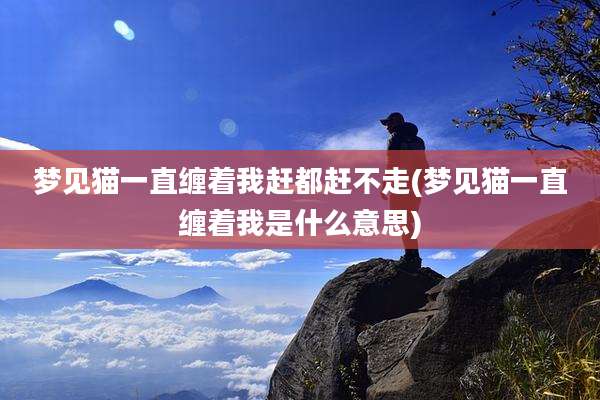 梦见猫一直缠着我赶都赶不走(梦见猫一直缠着我是什么意思)