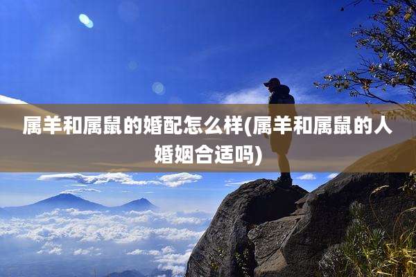 属羊和属鼠的婚配怎么样(属羊和属鼠的人婚姻合适吗)