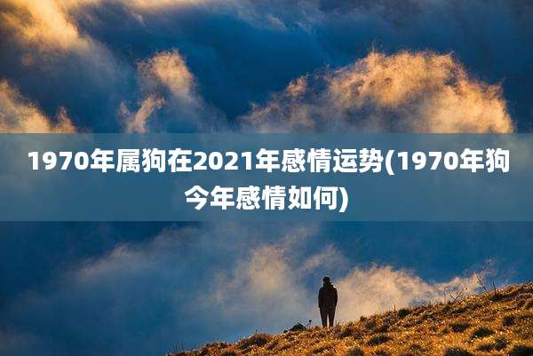 1970年属狗在2021年感情运势(1970年狗今年感情如何)