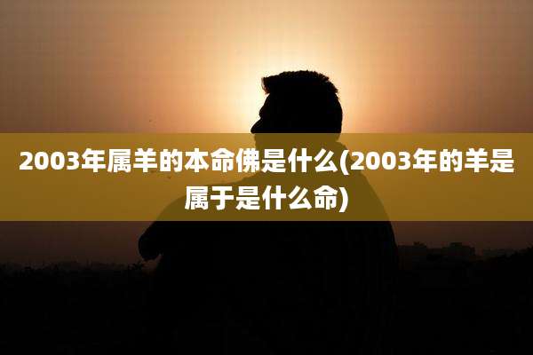 2003年属羊的本命佛是什么(2003年的羊是属于是什么命)