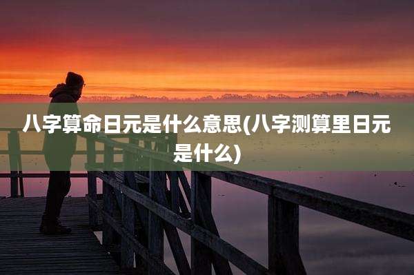 八字算命日元是什么意思(八字测算里日元是什么)