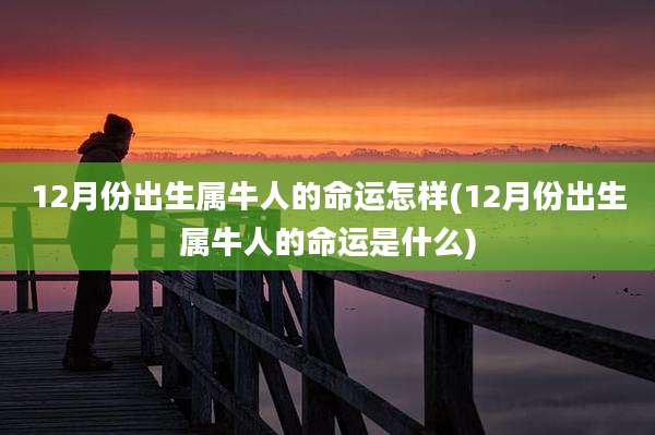 12月份出生属牛人的命运怎样(12月份出生属牛人的命运是什么)