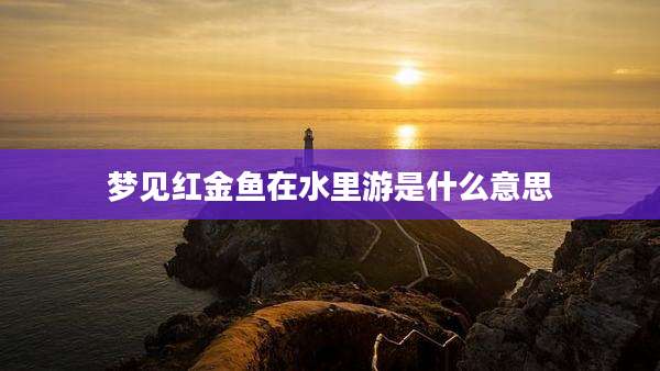 梦见红金鱼在水里游是什么意思