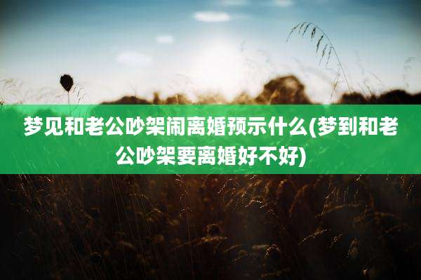 梦见和老公吵架闹离婚预示什么(梦到和老公吵架要离婚好不好)