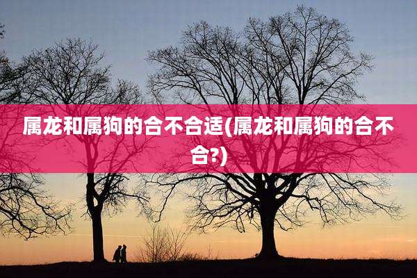 属龙和属狗的合不合适(属龙和属狗的合不合?)
