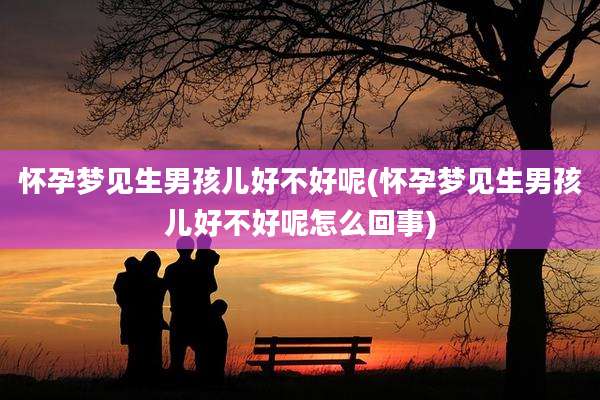 怀孕梦见生男孩儿好不好呢(怀孕梦见生男孩儿好不好呢怎么回事)