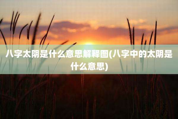 八字太阴是什么意思解释图(八字中的太阴是什么意思)