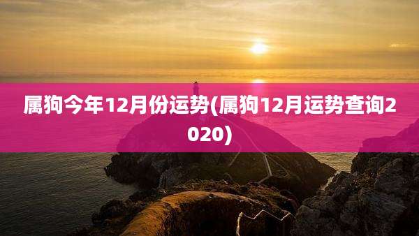 属狗今年12月份运势(属狗12月运势查询2020)