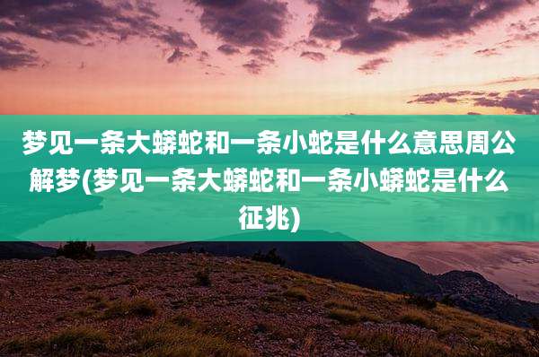 梦见一条大蟒蛇和一条小蛇是什么意思周公解梦(梦见一条大蟒蛇和一条小蟒蛇是什么征兆)