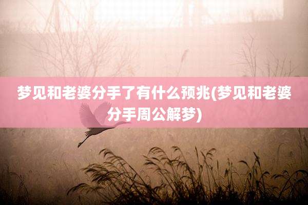 梦见和老婆分手了有什么预兆(梦见和老婆分手周公解梦)