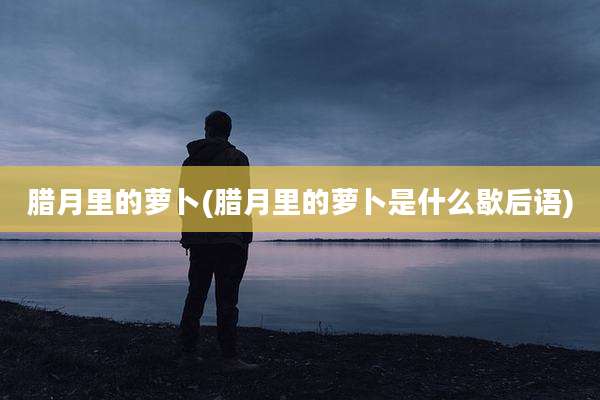 腊月里的萝卜(腊月里的萝卜是什么歇后语)