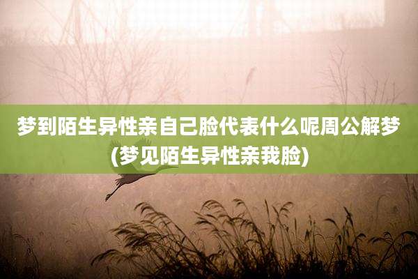 梦到陌生异性亲自己脸代表什么呢周公解梦(梦见陌生异性亲我脸)