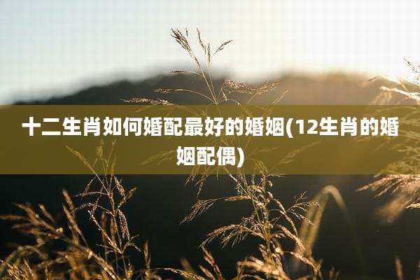 十二生肖如何婚配最好的婚姻(12生肖的婚姻配偶)