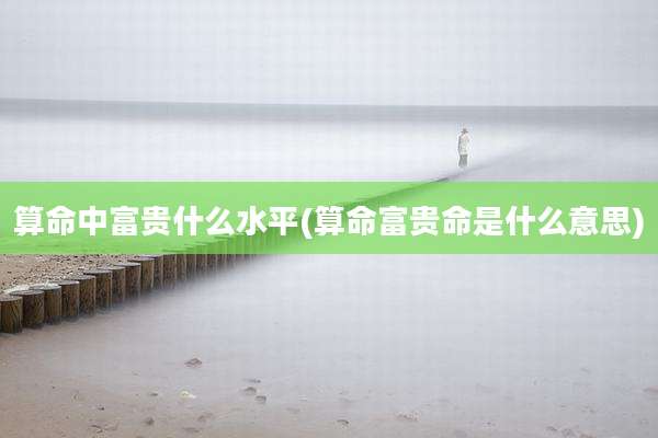 算命中富贵什么水平(算命富贵命是什么意思)