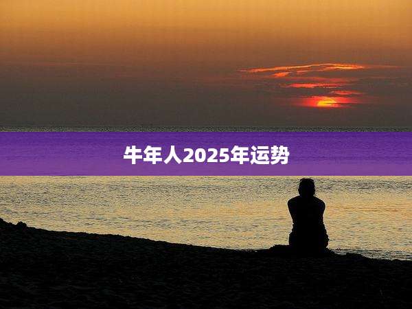 牛年人2025年运势