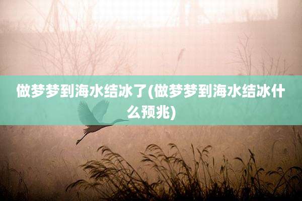 做梦梦到海水结冰了(做梦梦到海水结冰什么预兆)