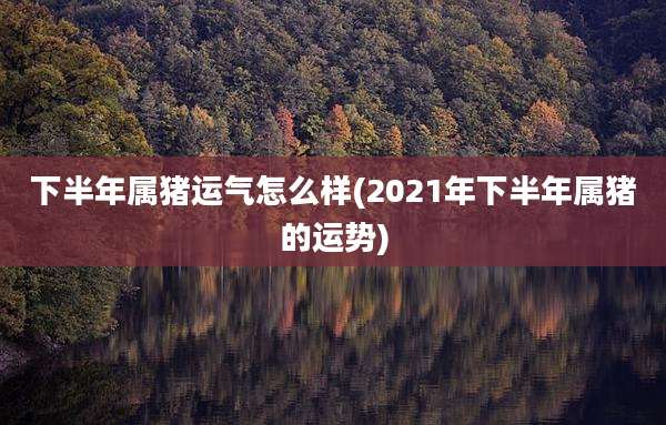 下半年属猪运气怎么样(2021年下半年属猪的运势)
