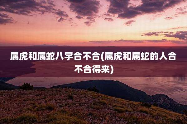属虎和属蛇八字合不合(属虎和属蛇的人合不合得来)