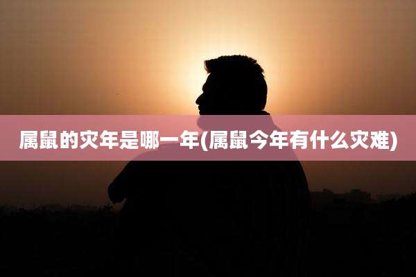 属鼠的灾年是哪一年(属鼠今年有什么灾难)