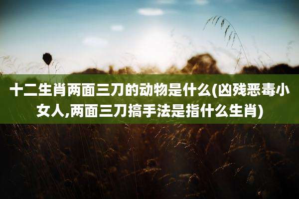 十二生肖两面三刀的动物是什么(凶残恶毒小女人,两面三刀搞手法是指什么生肖)