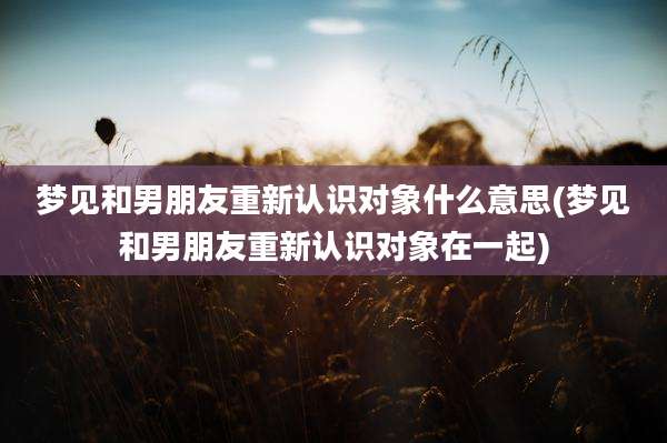 梦见和男朋友重新认识对象什么意思(梦见和男朋友重新认识对象在一起)
