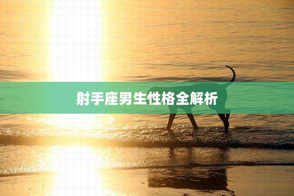 射手座男生性格全解析