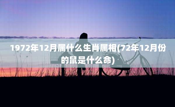 1972年12月属什么生肖属相(72年12月份的鼠是什么命)