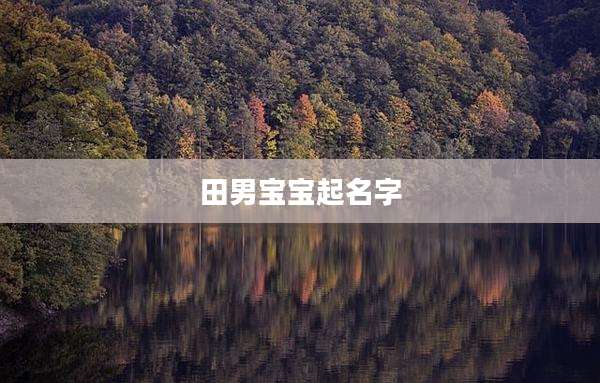 田男宝宝起名字
