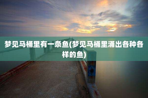 梦见马桶里有一条鱼(梦见马桶里涌出各种各样的鱼)