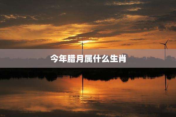 今年腊月属什么生肖