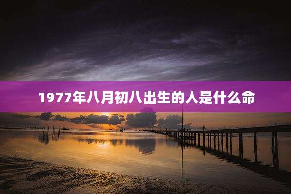 1977年八月初八出生的人是什么命