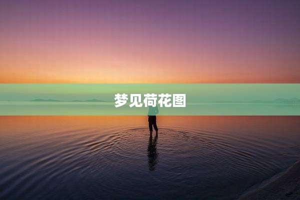 梦见荷花图